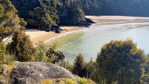 Paisatge costaner amb una platja de sorra, aigües cristal·lines i turons boscosos i frondosos.