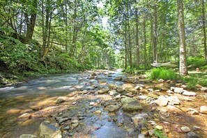 Ein bewaldetes Gebiet mit einem Bach und einer Hängematte.