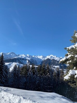 Aussenbereich