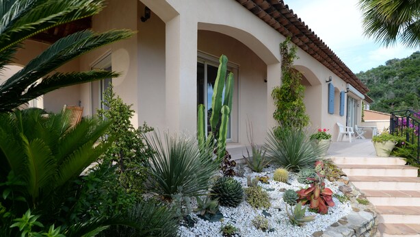 A house with a stone pathway leading to a white door, surrounded by various plants and a cactus.