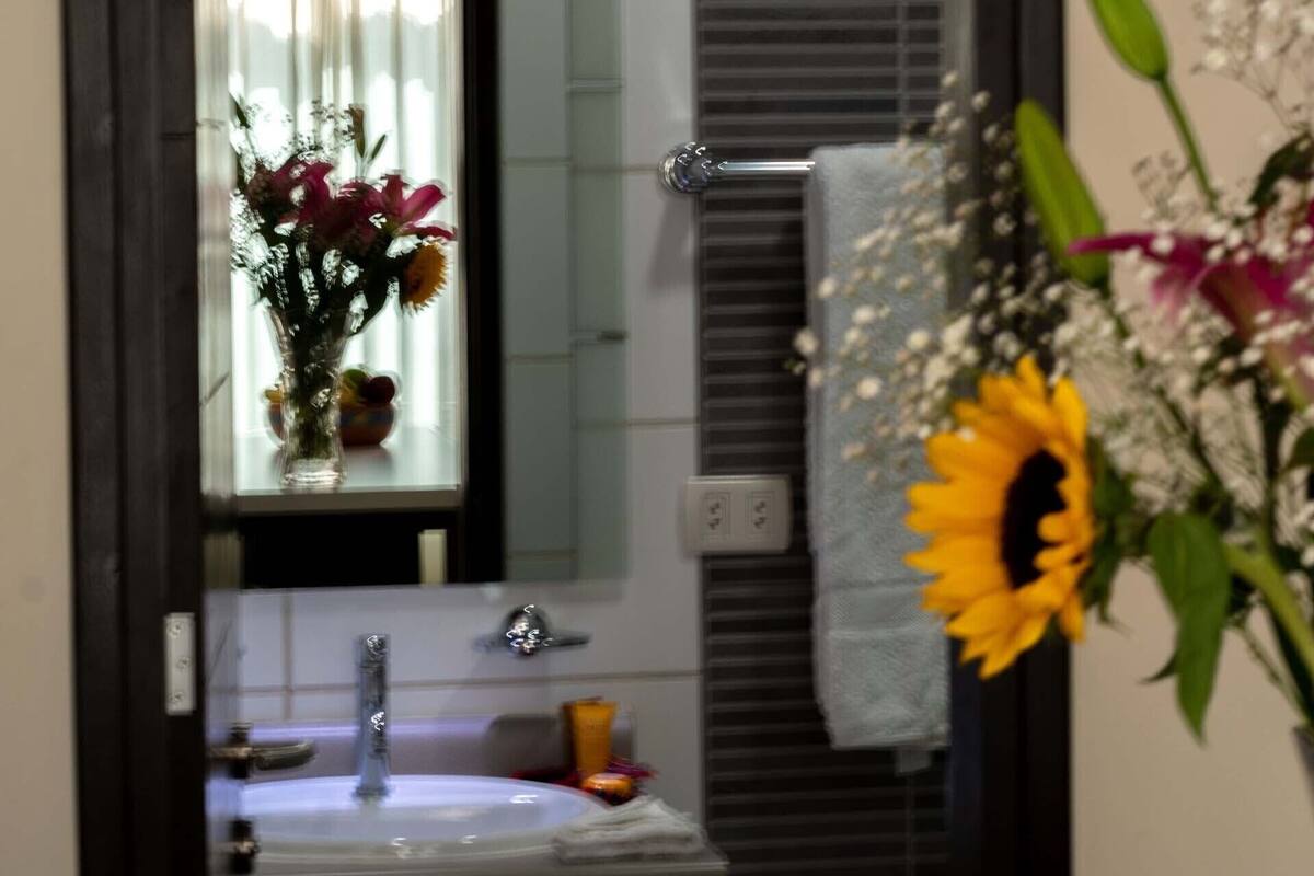 shower, free toiletries, towels