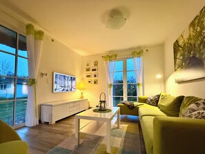 TV, fireplace, DVD player, books