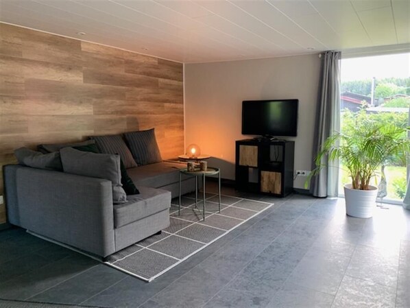 TV, fireplace, DVD player, books