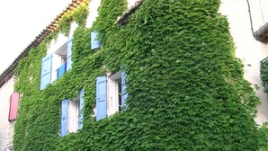 Un edificio con fachada de piedra parcialmente cubierta de hiedra verde.