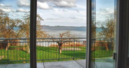 Bauhaus talo tilava tontti jossa yksityinen vedensaantia