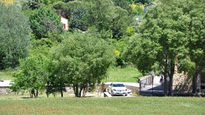 Área residencial com um carro branco estacionado na entrada, rodeada por vegetação exuberante e árvores.