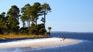 A beach with a sandy shore, tall trees, and a clear blue sky. - SUPER VALUE VACATION HOUSE: PRIVATE BEACH, GOLF, POOL, BIKES
 (Hilton Head)