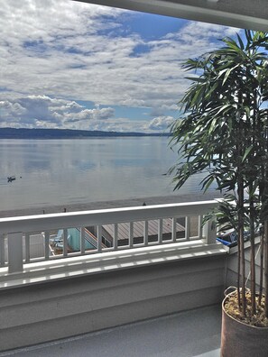 Property grounds - WINTER SALE! 1930’s Beach Front cottage in the unique Three Tree Point area. (Burien)