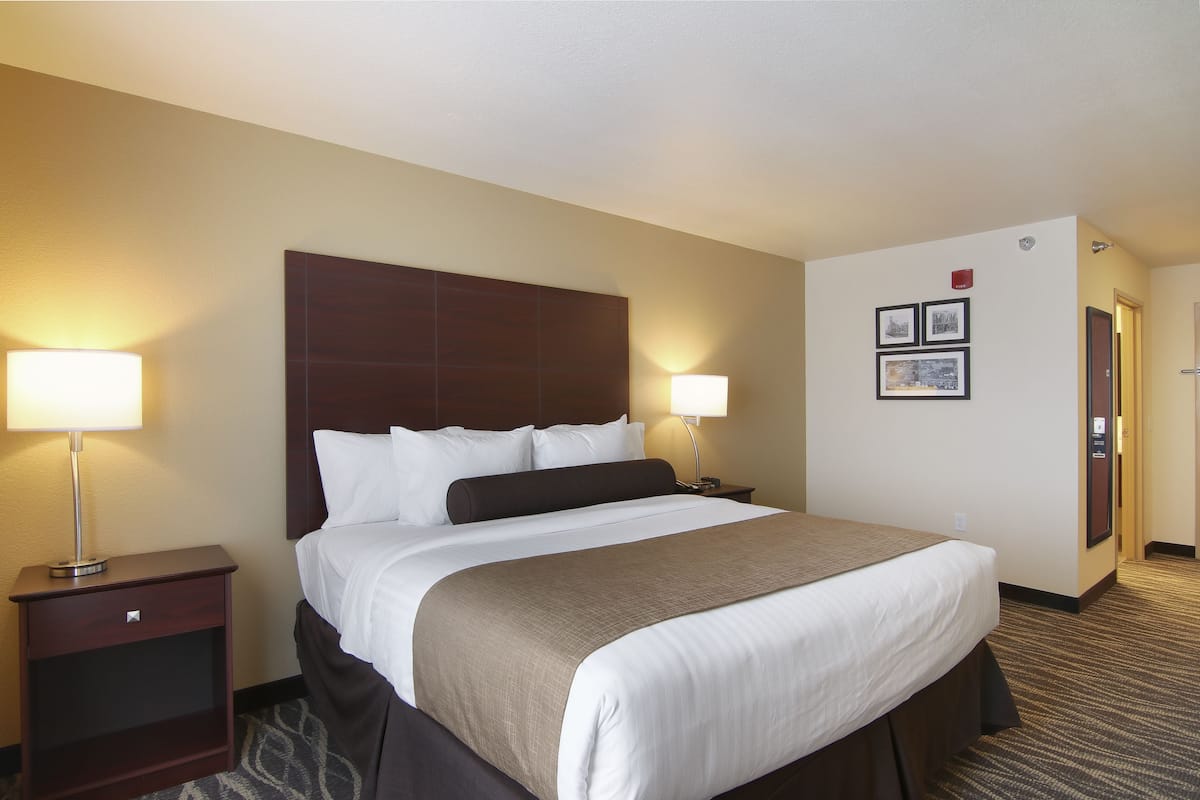 A hotel room with a large bed, two bedside tables with lamps, a headboard, and a carpeted floor.