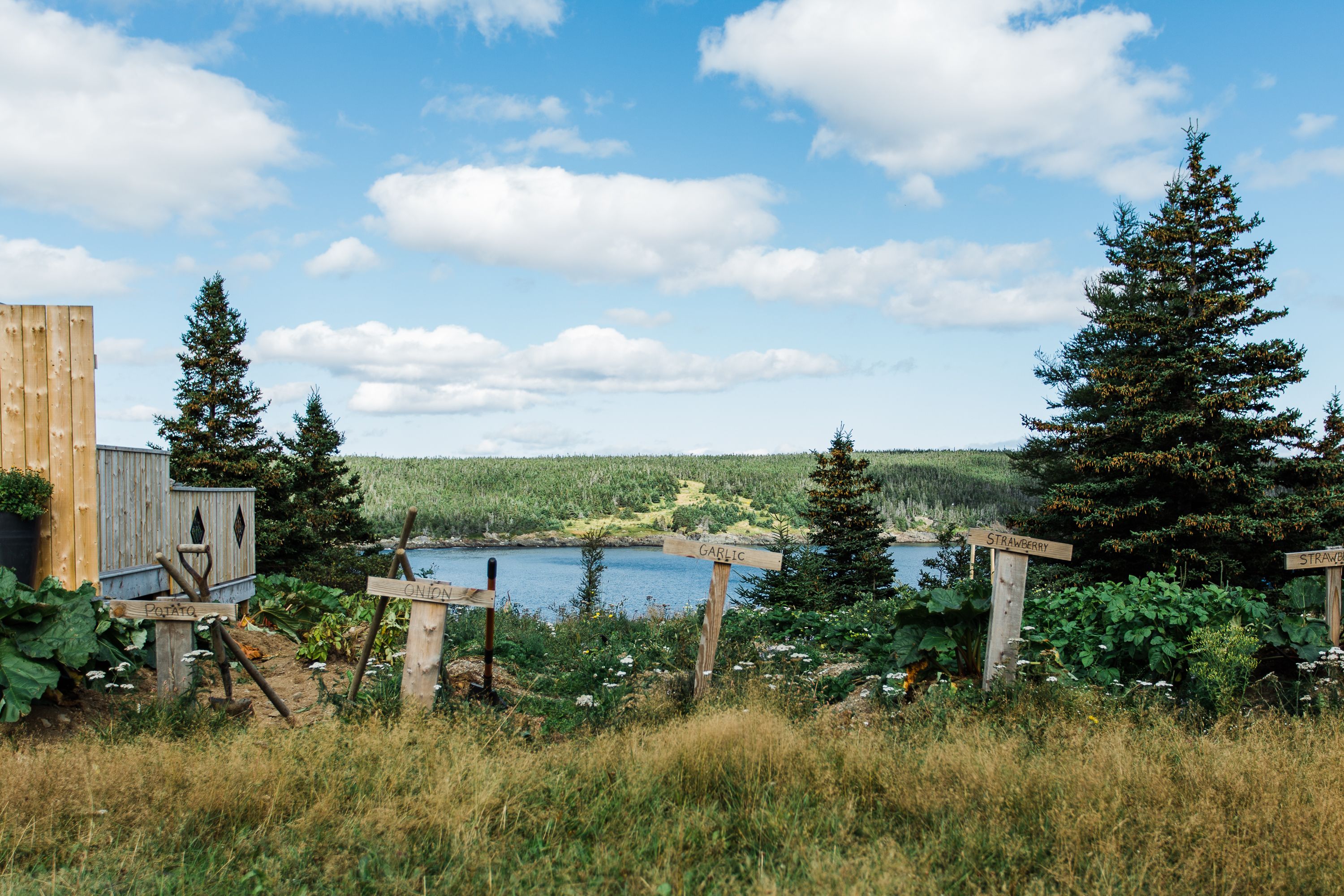 Una cabaña de madera rústica con vistas a un lago y un bosque.