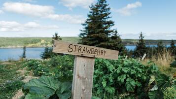 A wooden sign with the word "STRAWBERRY" in a natural setting with greenery and a lake in the background.