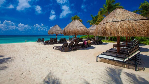 A beach with thatched umbrellas, lounge chairs, and palm trees. - Elements GH01 by Tripintravel (Playa del Carmen)