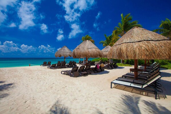 Playa en los alrededores 