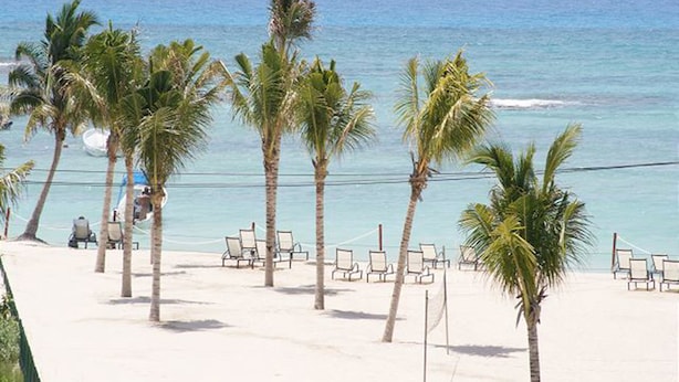 Ein Strand mit Palmen und Liegestühlen.