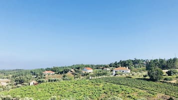 الإطلالة من المنشأة