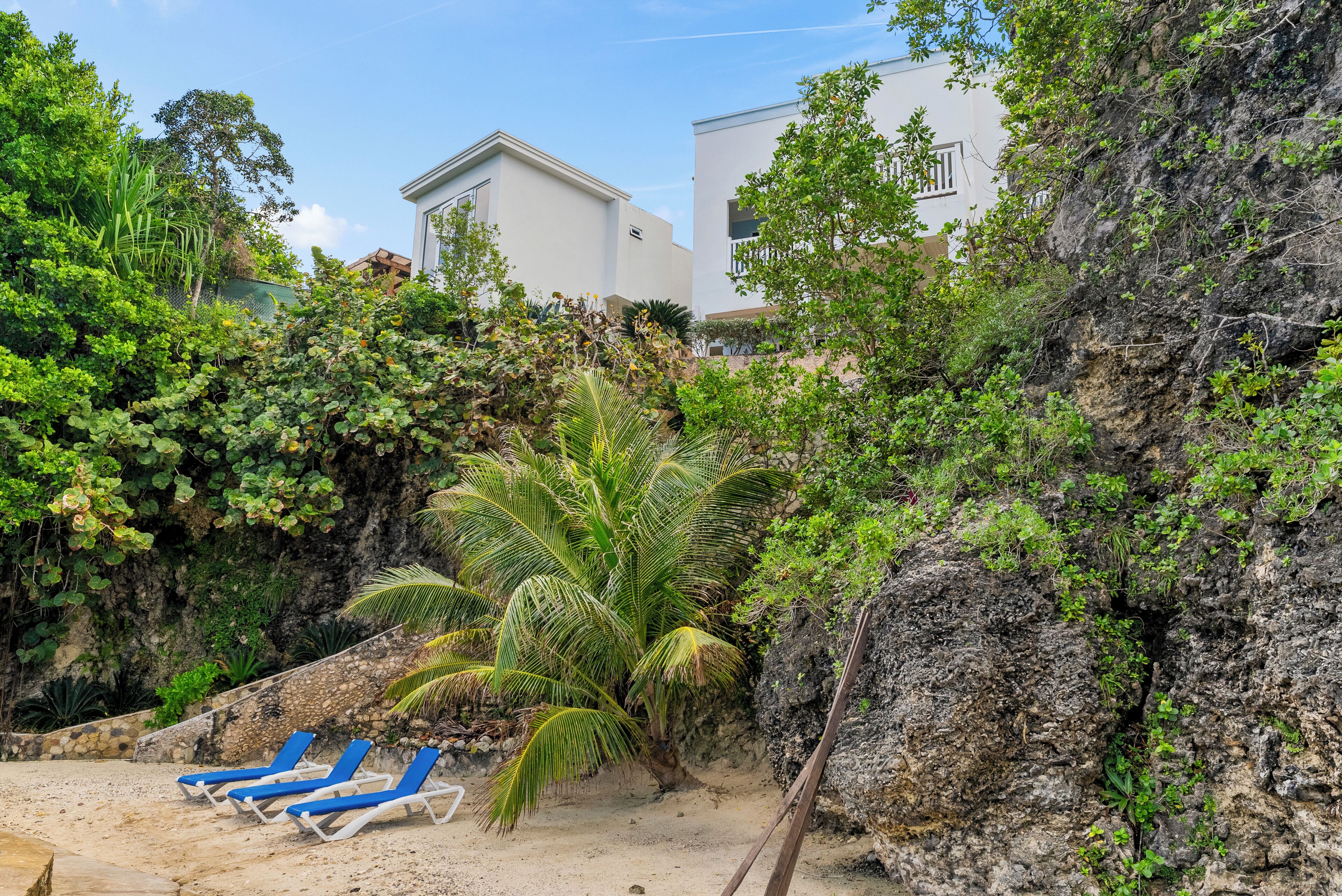 A beach area with blue lounge chairs, a palm tree, and a rocky cliff.