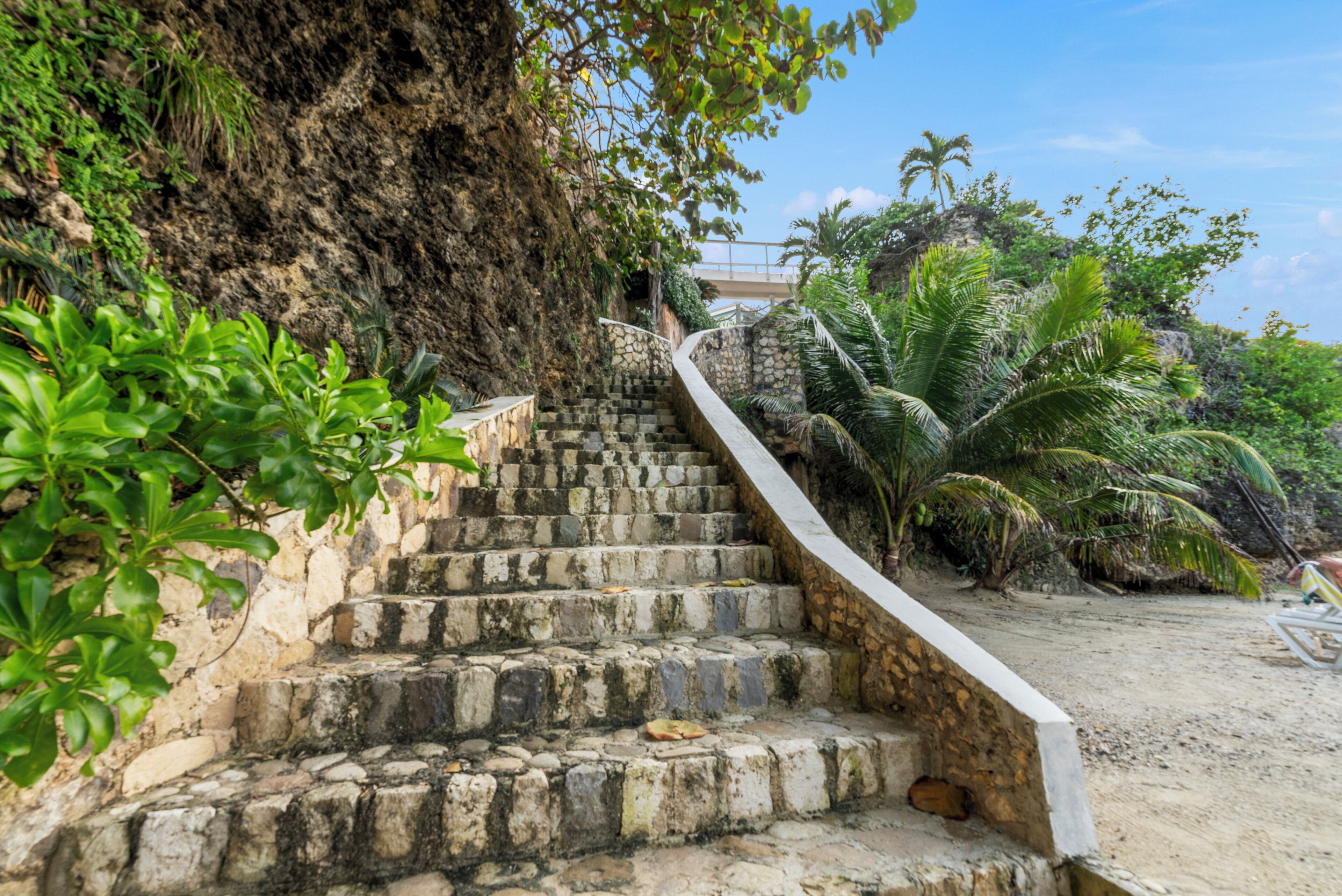 A set of stone steps leading up a rocky hillside, surrounded by lush greenery and palm trees.