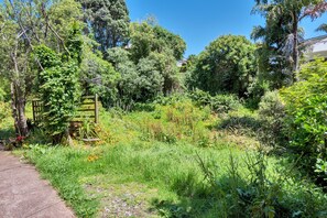 Stroll through the serene garden, surrounded by a variety of trees and shrubs.