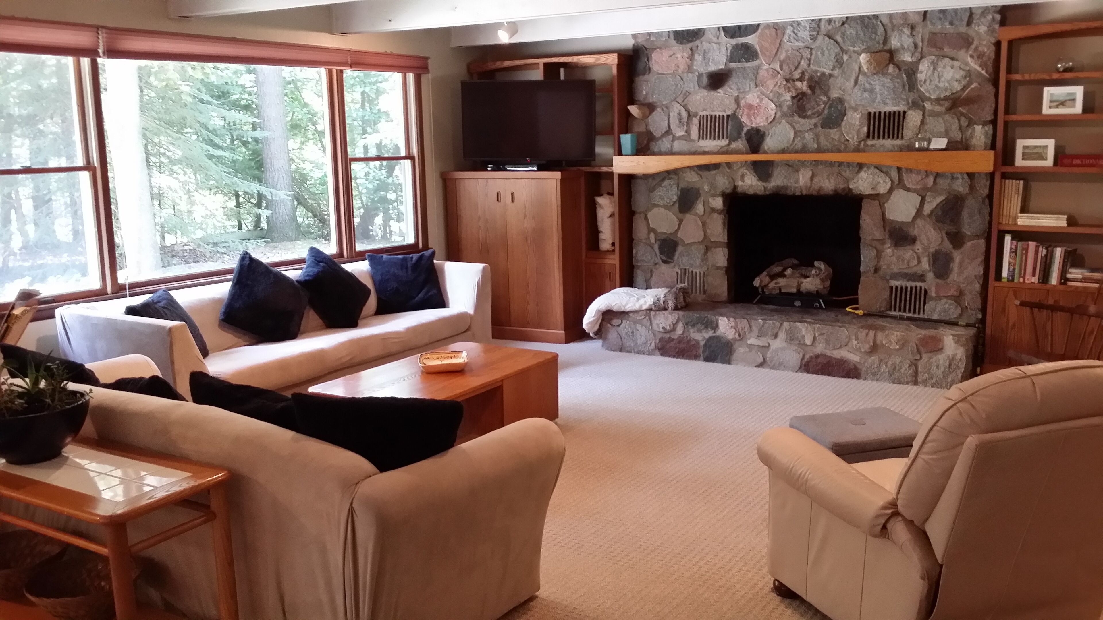 Smart-TV, Kamin, DVD-Player, Bücher