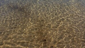 Una vista despejada de una playa con aguas poco profundas y una costa lejana.