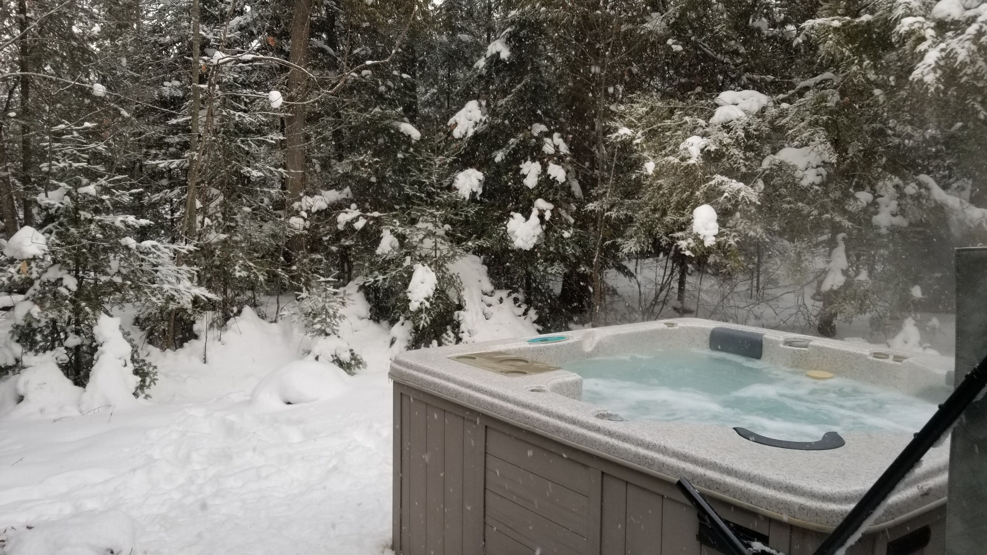 Jacuzzi en un bosc nevà.