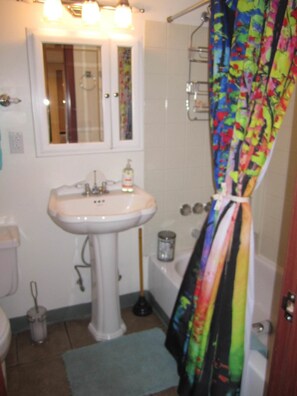 Ensemble baignoire-douche, séchoir à cheveux, serviettes fournies, savon