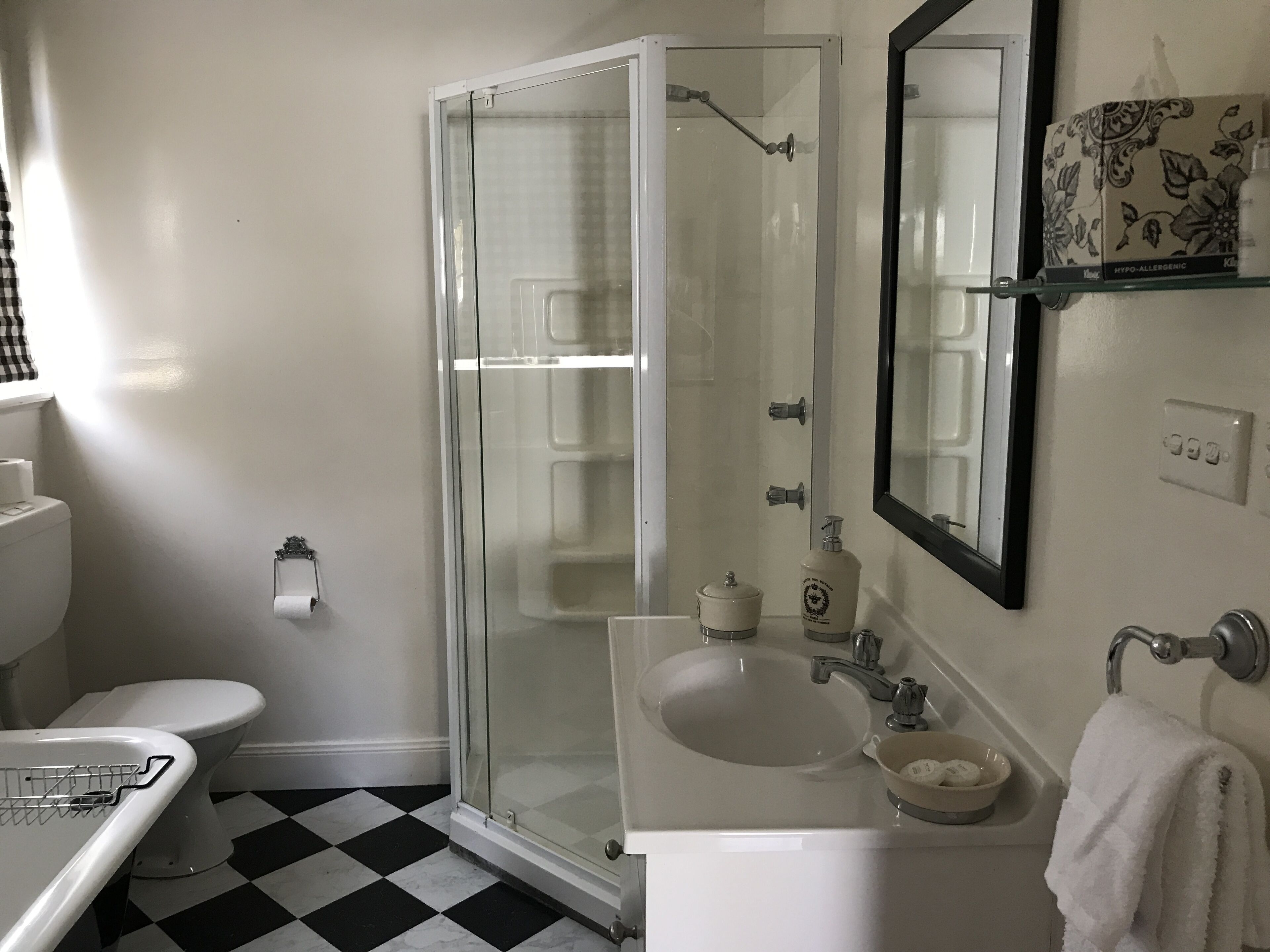 Bathtub, hair dryer, towels, soap