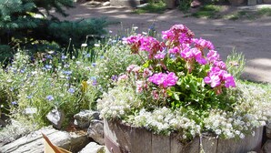 A garden with various flowers and a wooden bench.