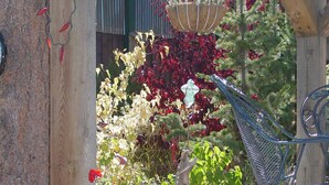 A wooden pergola with a hanging basket and a metal chair.