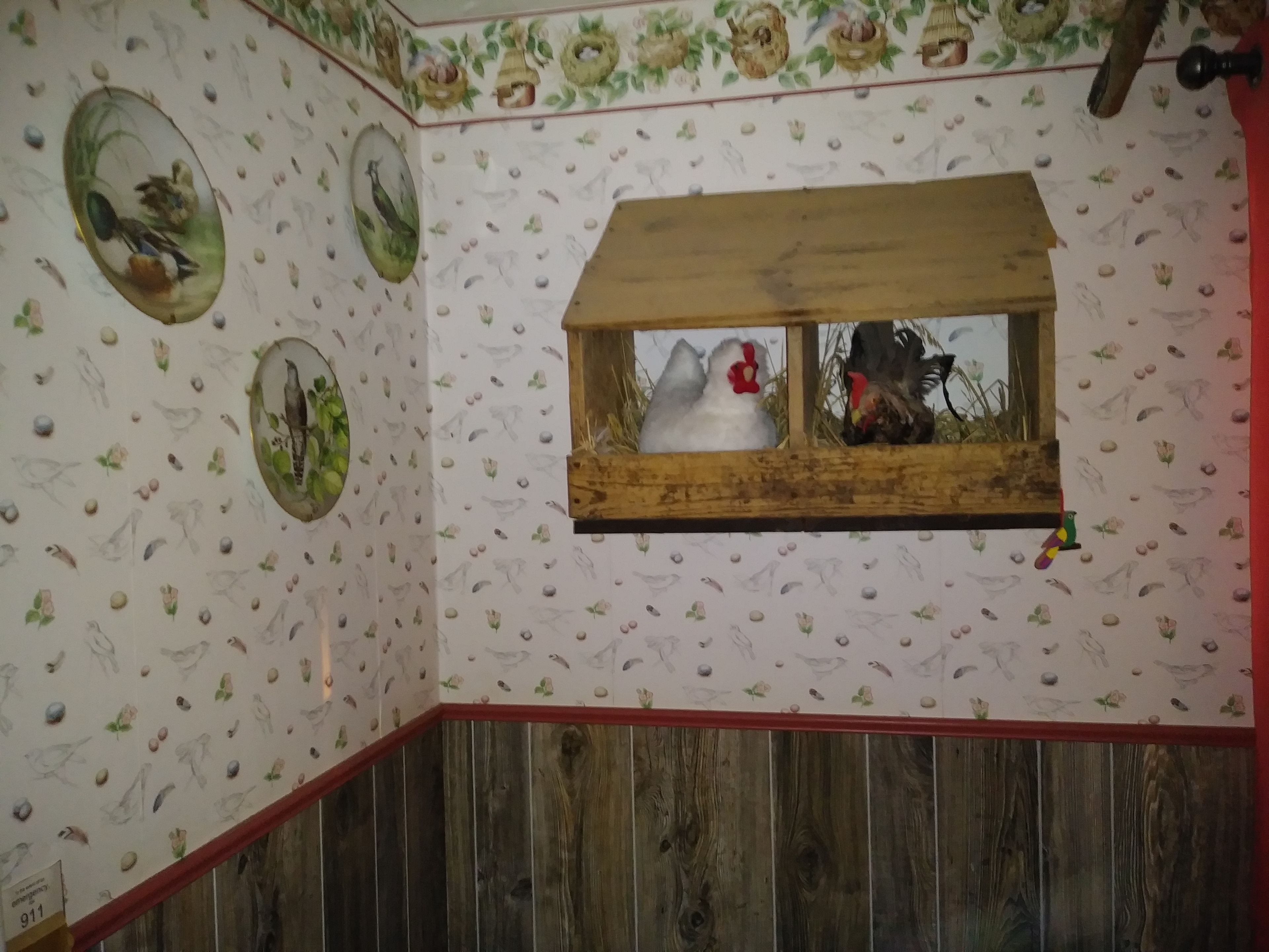 A room with a wooden bench, a window with a wooden frame, and walls decorated with bird illustrations.