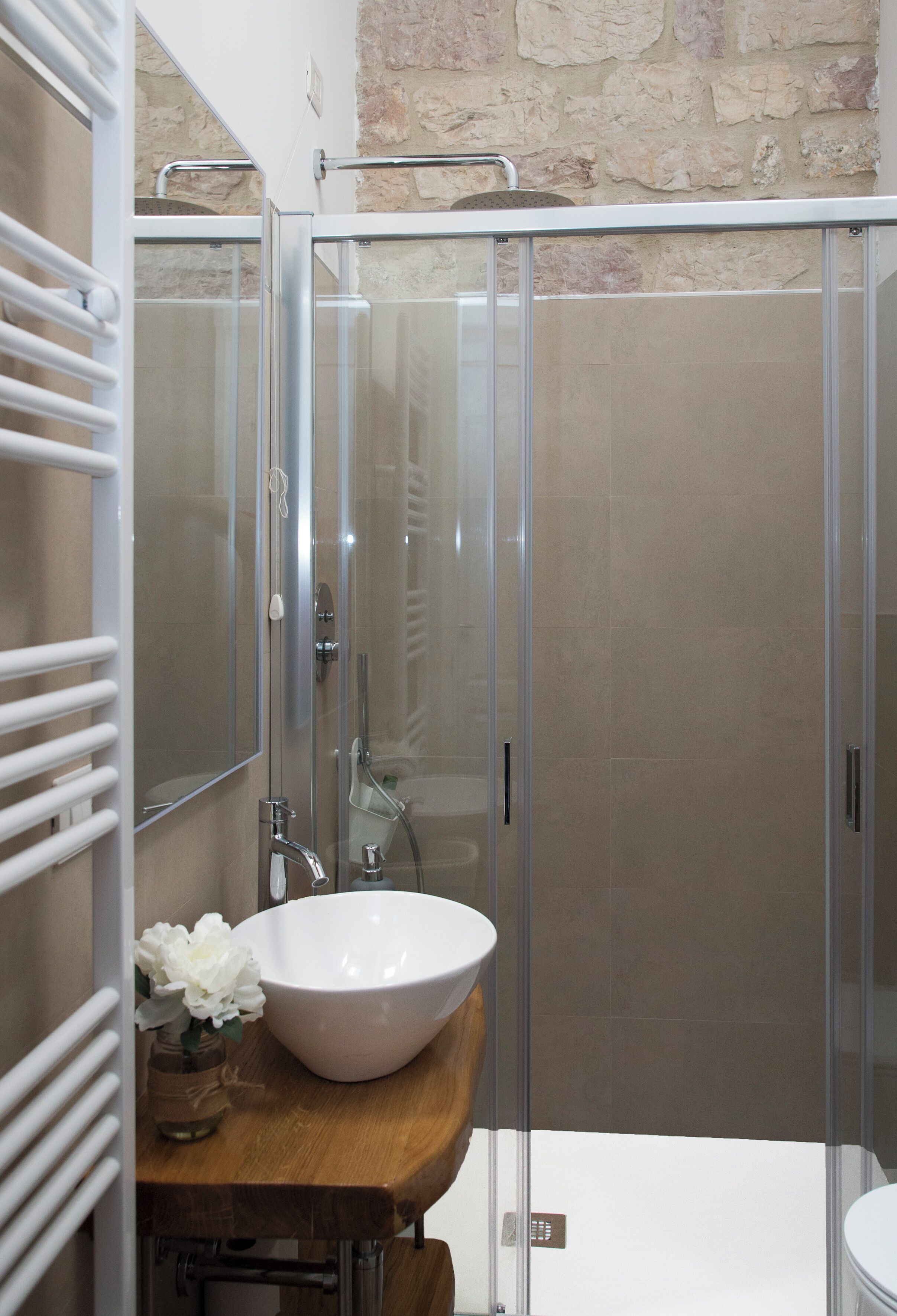 Shower, hair dryer, bathrobes, bidet