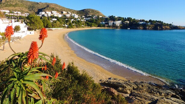Una playa costera con aguas azules cristalinas, orilla arenosa y edificios residenciales al fondo.