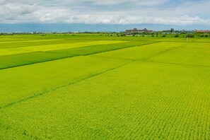 Design Loft, 1 Bedroom, Balcony, Mezzanine | View from room - Wudai Homestay (Zhuangwei)
