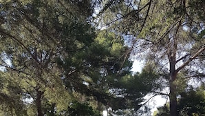 A paved pathway leading to a building with a view of the sea. - BANDOL - Seaside - Beautiful Apartment - all Comfort - Air Conditioning-Wifi... (Bandol)