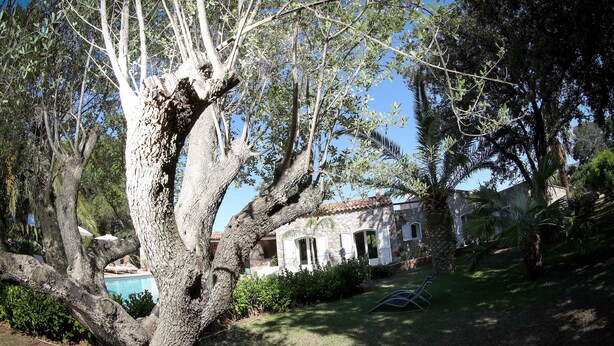 A tree-lined courtyard with a stone building, a swimming pool, and a hammock.