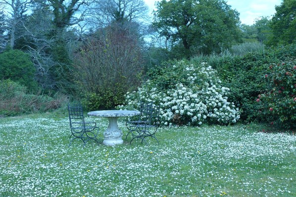A garden with a stone table and two chairs surrounded by white flowers.