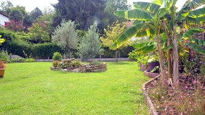 Un jardín bien cuidado con una variedad de plantas y árboles, incluida una palmera de plátano.