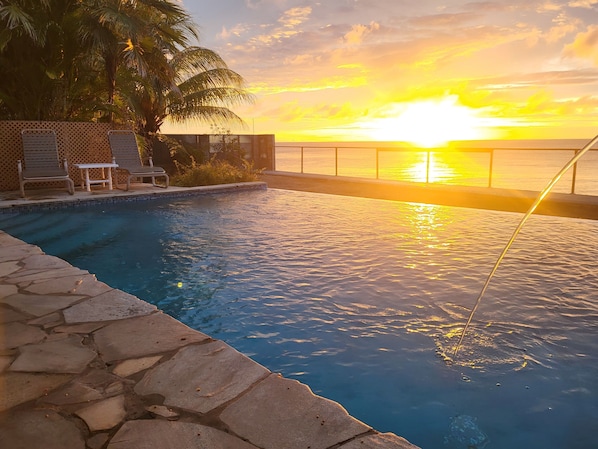 A swimming pool with a sunset view, lounge chairs, and a palm tree.