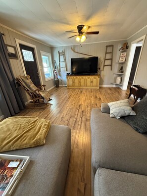 Smart TV, chimenea, libros, videoteca