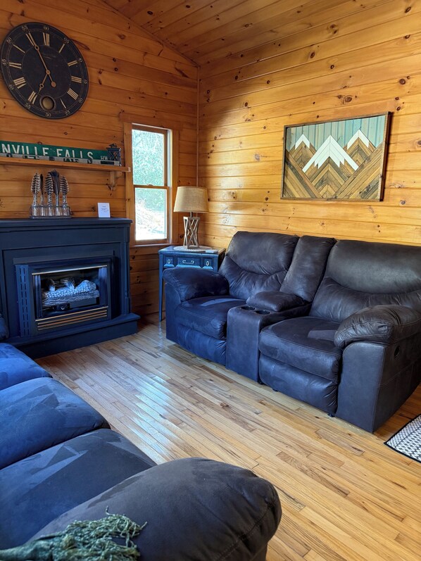 Smart TV, fireplace, books, video library