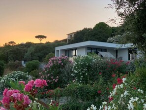 Overnattingsstedets uteområder