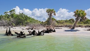 A beach with clear turquoise water, sandy shore, and scattered palm trees. - Sun, beach, and great savings –discover amazing discounts on dream destinations! (Cape Coral)