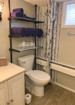 Ensemble douche/baignoire, sèche-cheveux, serviettes fournies, savon