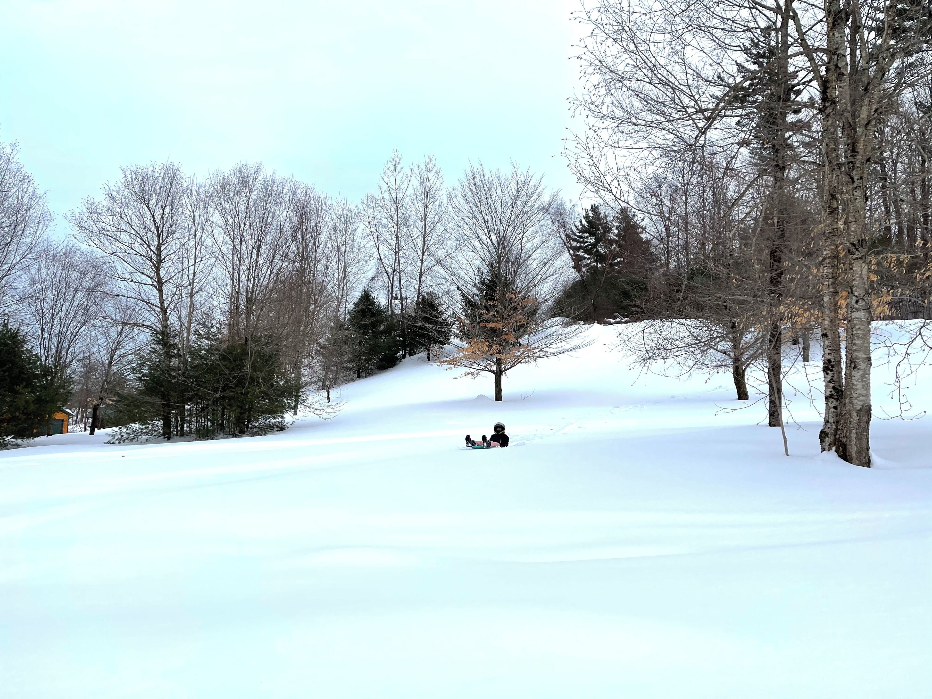 A snowy landscape with trees and a small cabin.