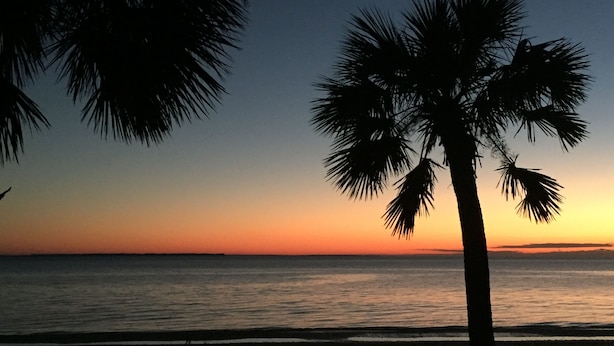 Escena de playa con una palmera silueteada contra un atardecer.
