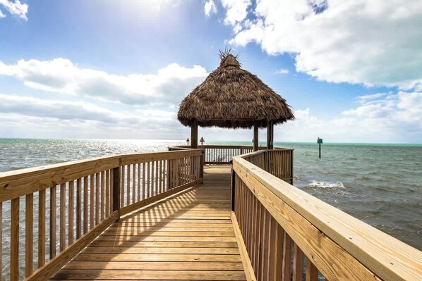 Terrain de l’hébergement 