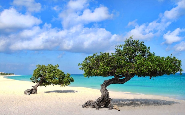 Plage à proximité