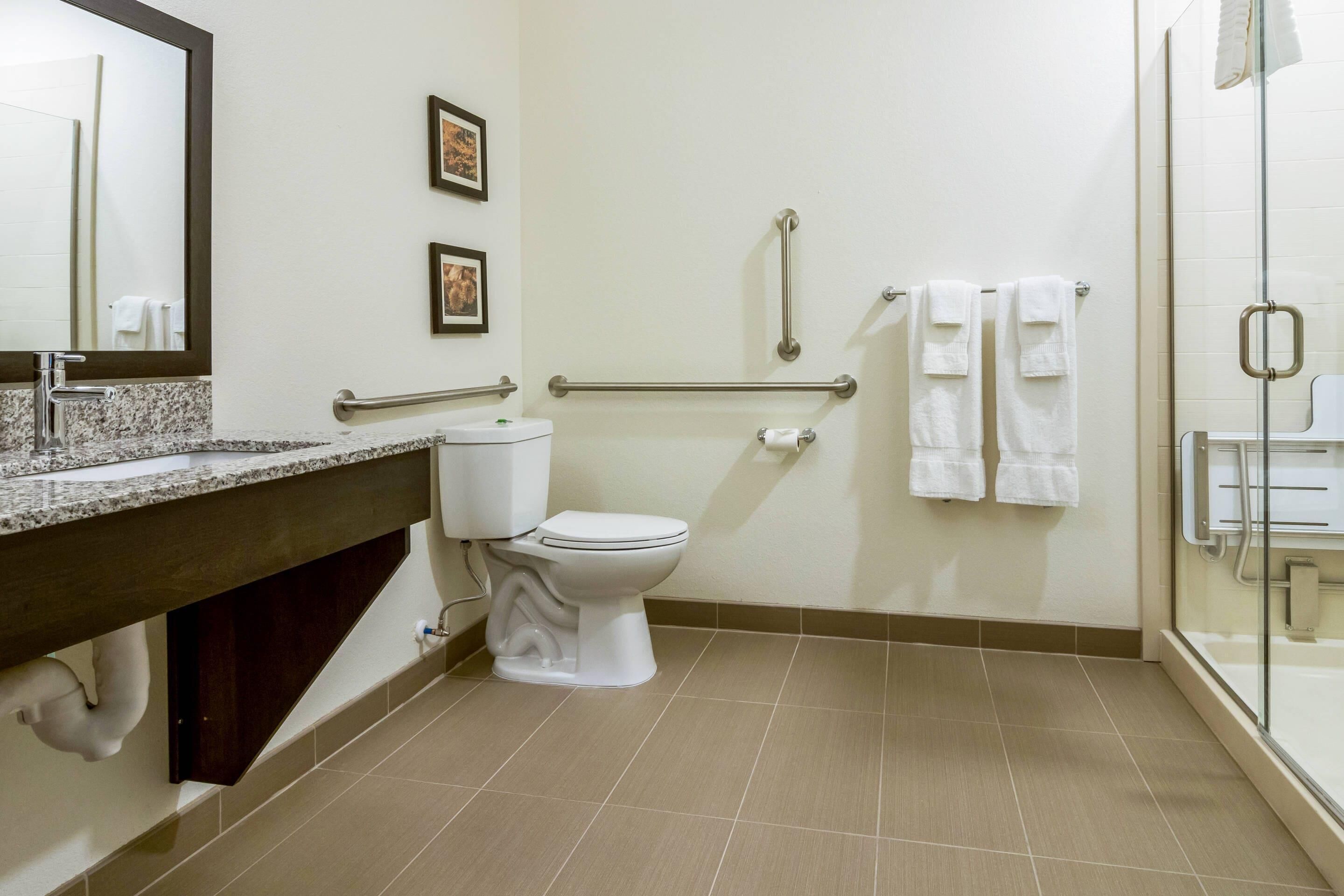 Een badkamer met toilet, wastafel en douche.