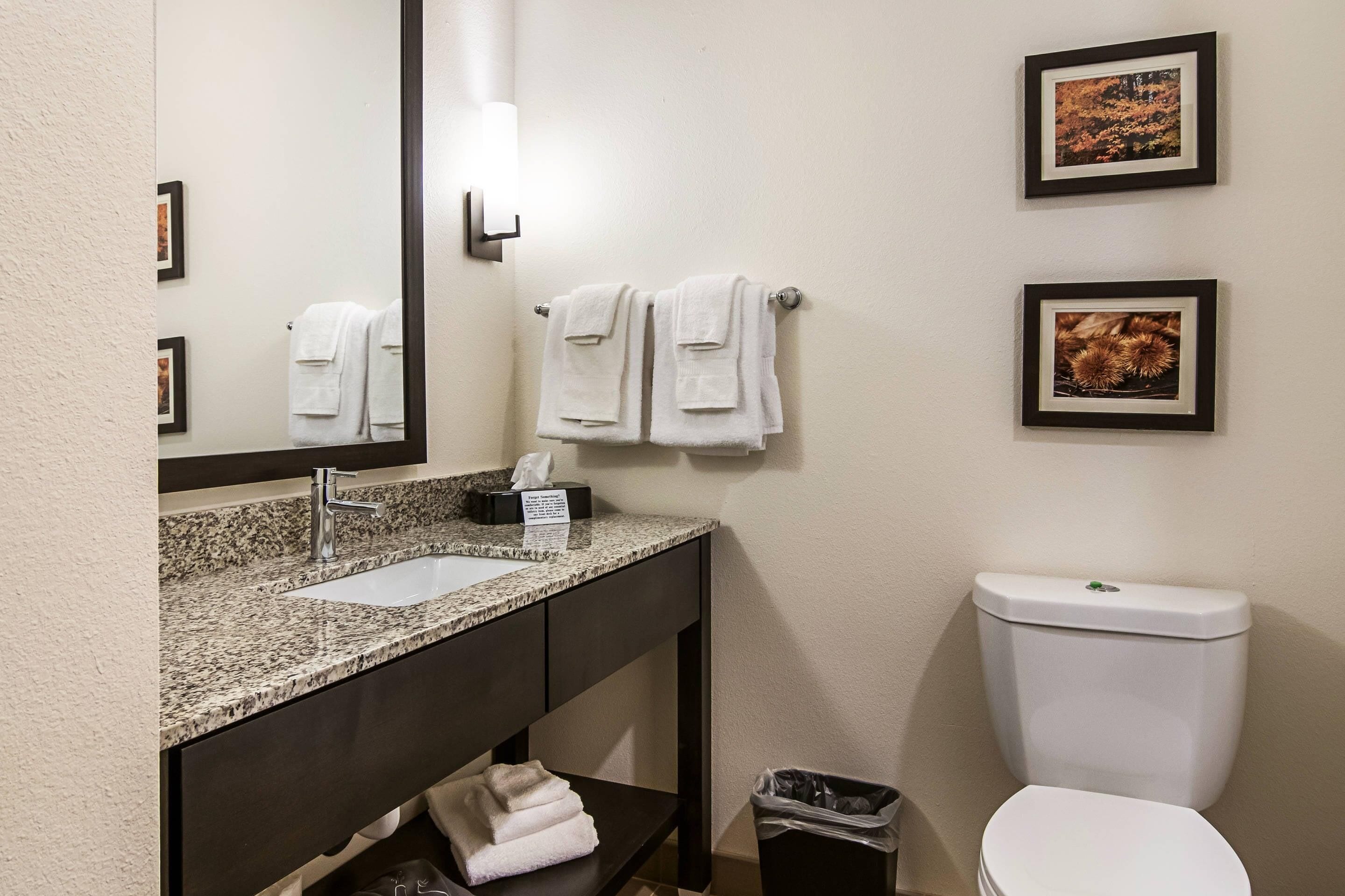 A bathroom with a granite countertop sink, a mirror, two framed pictures, a toilet, and a trash bin.