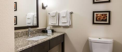 A bathroom with a granite countertop sink, a mirror, two framed pictures, a toilet, and a trash bin.